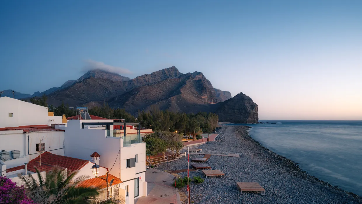 The Popularity of Momo